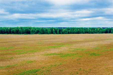 plowed field and forestの写真素材