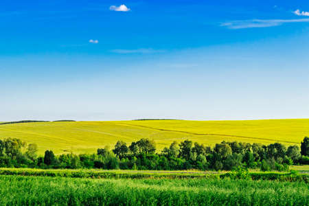 field and hillsの写真素材