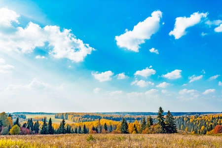 View from high hill to landscape with autumn forestの写真素材