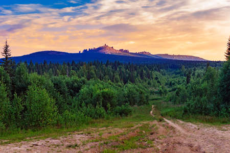 coniferous forest and mountain in the urals