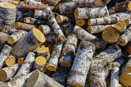 close-up of birch firewood piled in a heapの写真素材