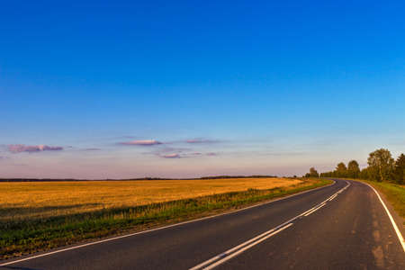 Asphalt road in the field on a summer evening at sunsetの写真素材