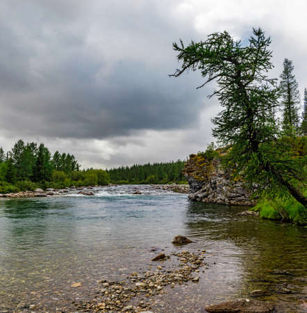 northern river flowing among the rocks in a forest areaの写真素材