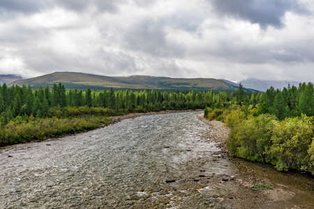 A clear northern river flowing among the rocks in a forest area on a summer dayの写真素材