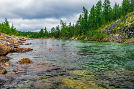 A clear northern river flowing among the rocks in a forest area on a summer dayの写真素材