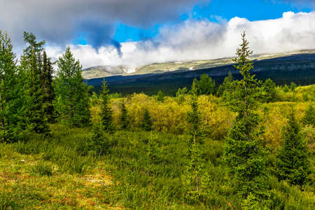 A mountain peak towering over the forest in the Subpolar Urals on a rainy dayの写真素材