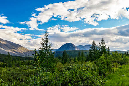 A mountain peak towering over the forest in the Subpolar Urals on a rainy dayの写真素材