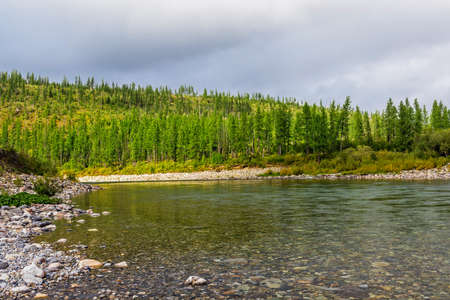 A clear rapid northern river flowing among the rocks on a summer dayの写真素材