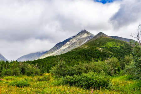 Tundra and mountains in the Subpolar Urals on a summer day