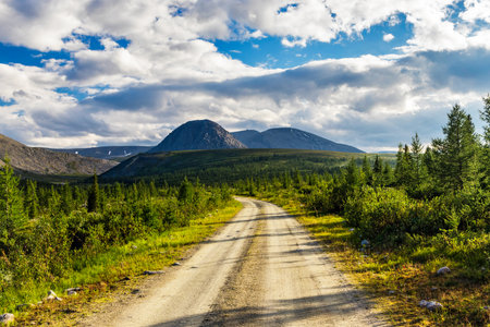 Dirt road through a coniferous forest to the mountains in the Subpolar Urals on a summer dayの写真素材