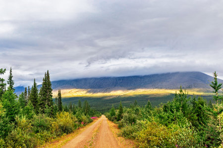 Dirt road through a coniferous forest to the mountains in the Subpolar Urals on a summer dayの写真素材