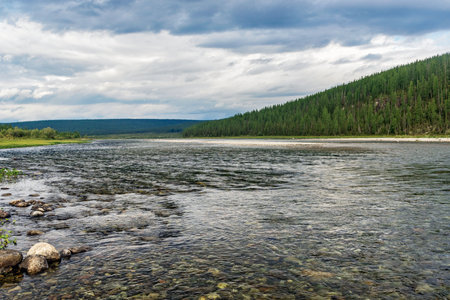 River Kozhim in a forest area in the Subpolar Urals on a gloomy dayの写真素材