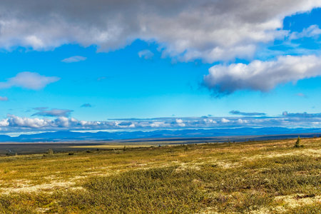 View of the tundra and the mountain range on the horizon in the Subpolar Urals on a summer dayの写真素材
