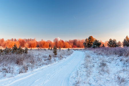 Landscape with a road in a snowy field on a frosty winter morning at dawn