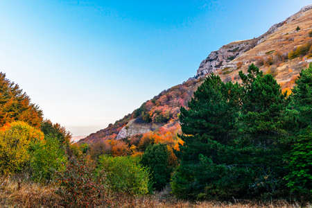 Landscape with mountains and forests of Crimea on an autumn dayの写真素材