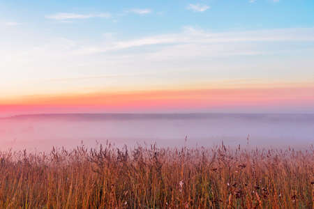 Pink dawn over a foggy field in an early summer morningの写真素材