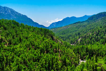 Landscape with mountains and evergreen forest on a sunny summer dayの写真素材