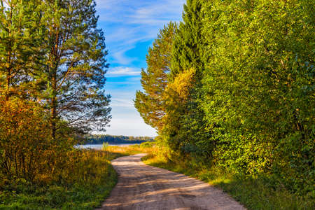 rural landscape with a path in the autumn forest