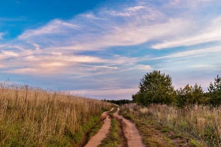 landscape with a dirt road in a field in an autumn eveningの写真素材