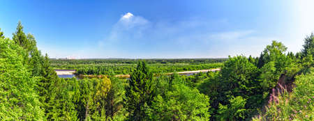 panorama of the forest and the river on a sunny summer day