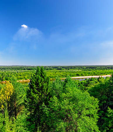 view of the forest and the river on a sunny summer dayの写真素材