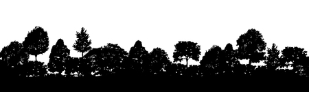 Forest trees black silhouettes natural wild landscape detailed illustration backgroundの写真素材