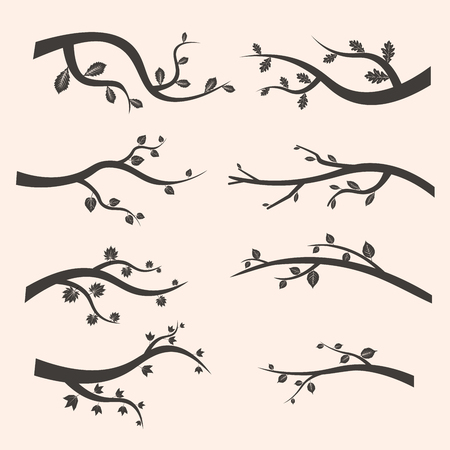 Stylized black tree branch silhouettes with leaves. Set of branch tree illustration.の写真素材