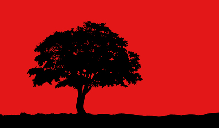 tree at hill silhouette vector illustration on red backgroundの写真素材