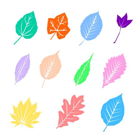 Colorful autumn leaves set, isolated on white background. Simple cartoon flat style,  illustration.の写真素材