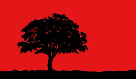 tree at hill black silhouette illustration on red backgroundの写真素材