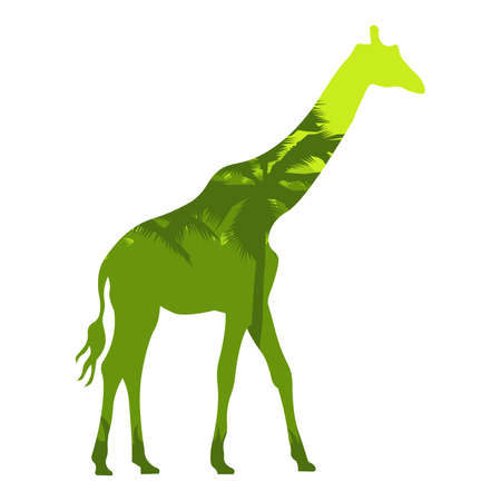 Vector illustration silhouette giraffe with african savannah and colorful sky.のイラスト素材