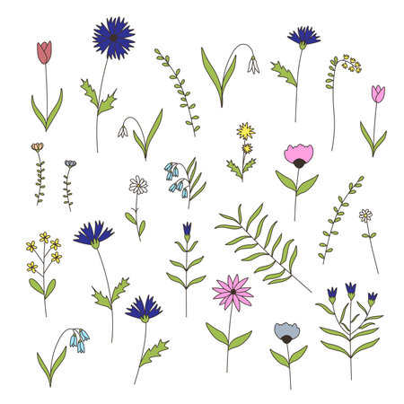 Set of floral elements. Flower and green leaves. Wedding concept - flowers. Floral poster, invite. Vector arrangements for greeting card or invitation designのイラスト素材