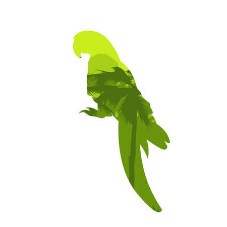 Clever speaking parrot silhouette on white background. Vector african savannah and colorful sky.