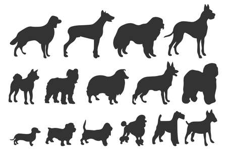 Dog silhouettes. Various breed. Doberman, malamute and labrador, poodle and corgi, bulldog and pug. Isolated vector set. Collection of pets or domestic animals as collie, akita and dachshund EPSのイラスト素材