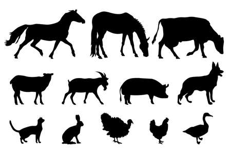 Set of silhouettes of domestic farm animals. Vector illustration livestock isolated on white, side view profile. Collection silhouette of domestic cattle. EPSのイラスト素材