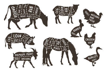 Illustrations for butcher shop. Cutting lines of different parts of domestic animals. Vector butcher animal part, meat diagram scheme rabbit and lamb, cattle EPSのイラスト素材