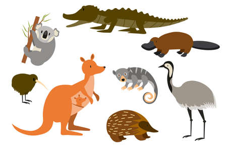 Australian animals in cute cartoon vector set. Funny illustrations of rare and unique fauna of Australia EPSのイラスト素材