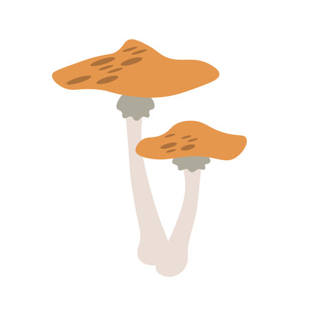 Flat vector of mushroom isolated on white background. Flat illustration graphic icon EPSのイラスト素材