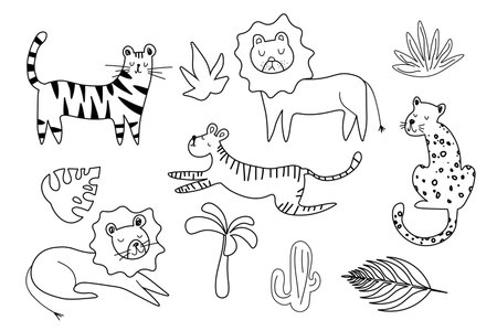 Set of big cat line doodle wild vector drawings. Predators african and safari animals hand drawings pack. illustrations EPSのイラスト素材