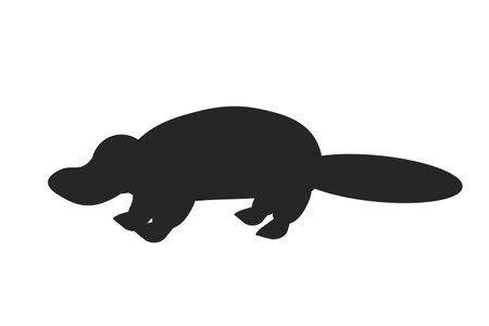 Black silhouette of platypus on a white background. Animals of Australia. Vector illustration. EPSのイラスト素材