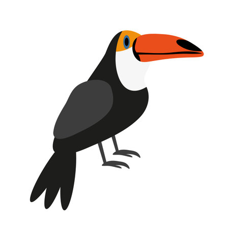 Ara parrot vector. Birds of Amazonian forests in flat design illustration. Fauna of South America. Beautiful Ara parrot on branch posters, childrens books illustrating. Isolated on white. EPSのイラスト素材