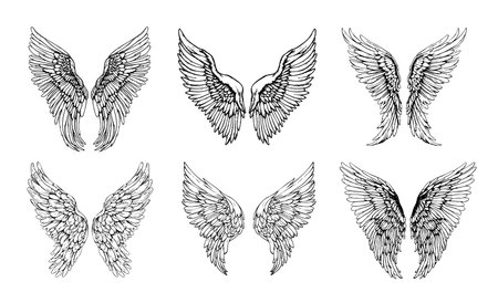 Wings SET sketch hand drawn in doodle style Vector illustrationのイラスト素材