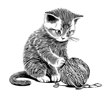 Kitten playing with ball hand drawn sketch in doodle style Vector illustration...のイラスト素材