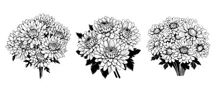 Chrysanthemums bouquet sketch hand drawn in comic style.Vector illustration Garden flowersのイラスト素材