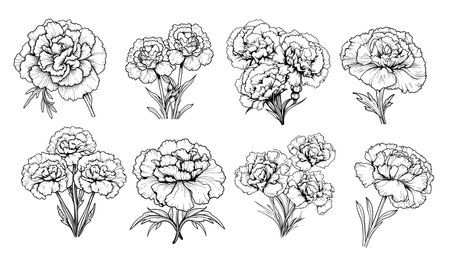 Carnation set sketch hand drawn in comic style.Vector illustration Garden flowersのイラスト素材