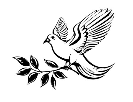 Dove sketch hand drawn Vector illustration Birdsのイラスト素材