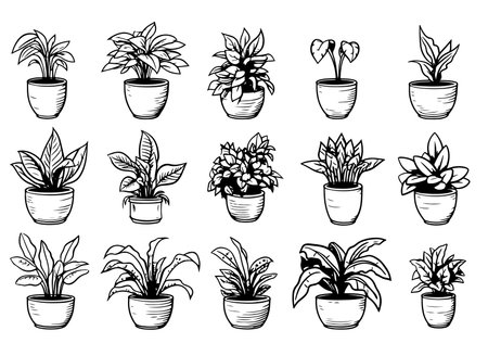Vector set of sketches house plantsのイラスト素材