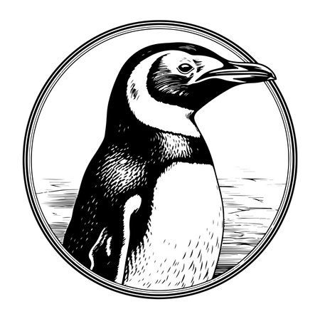 Penguin portrait head sketch hand drawn sketch, engraving style vectorのイラスト素材