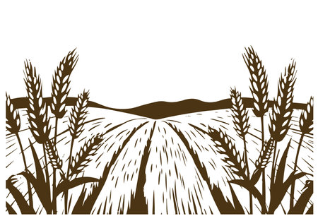 Wheat village landscape vector. fields with harvestのイラスト素材