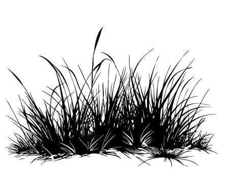 doodle grass illustration hand drawn styleのイラスト素材